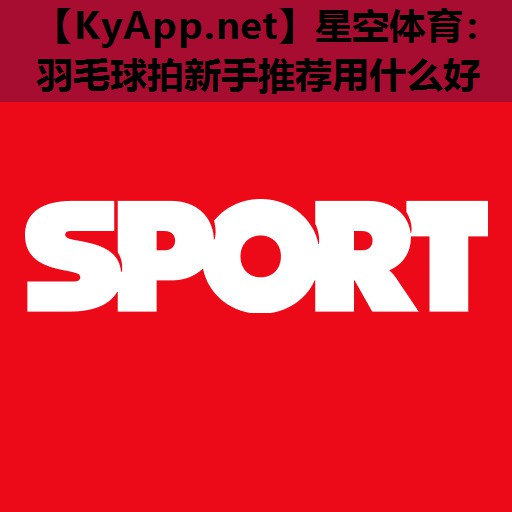 星空体育：羽毛球拍新手推荐用什么好