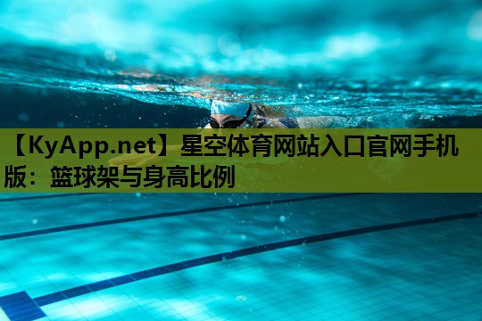 篮球架与身高比例