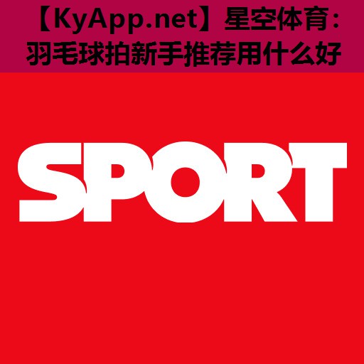 羽毛球拍新手推荐用什么好