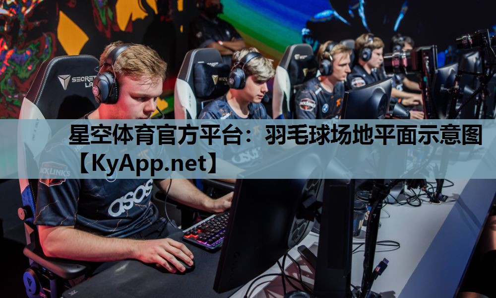 羽毛球场地平面示意图